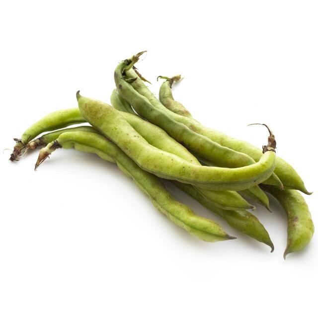 Natoora Fresh Italian Broad Beans