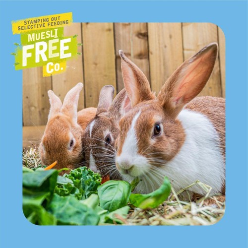Burgess Excel Junior And Dwarf Rabbit Food thumbnail 7
