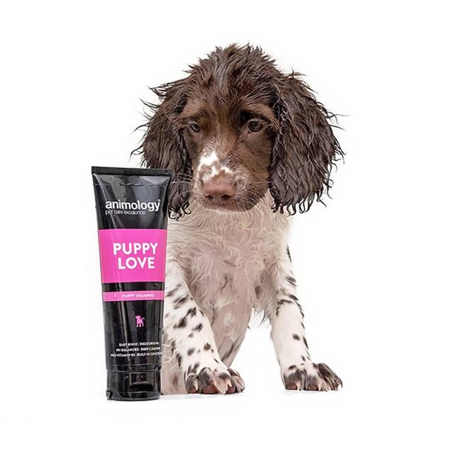 Animology Puppy Love Shampoo thumbnail 2