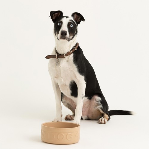 Mason Cash Lettered Dog Bowl 18cm thumbnail 4