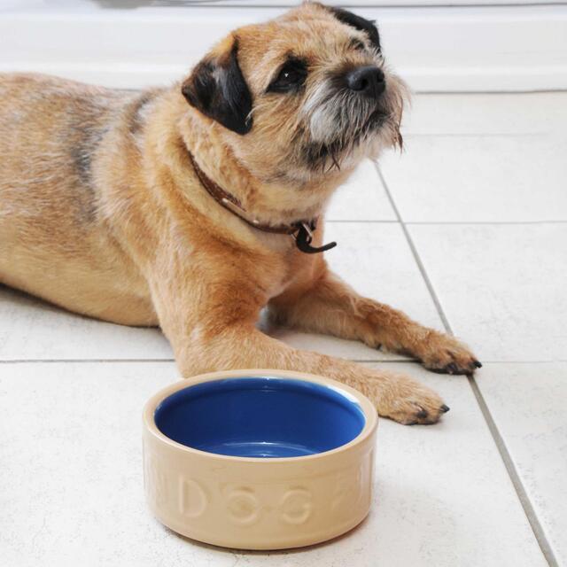 Mason Cash Lettered Cane & Blue Dog Bowl 18cm thumbnail 3