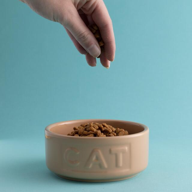 Mason Cash Cane Lettered Cat Bowl 13cm thumbnail 2