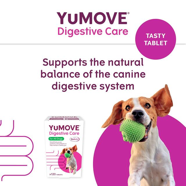 YuMOVE Dog Digestive Health Probiotics Supplement thumbnail 3