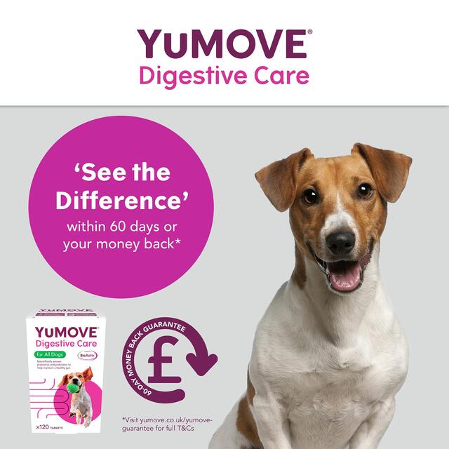 YuMOVE Dog Digestive Health Probiotics Supplement thumbnail 4