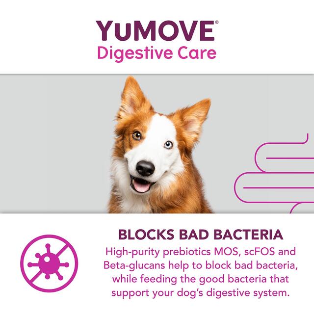 YuMOVE Dog Digestive Health Probiotics Supplement thumbnail 7