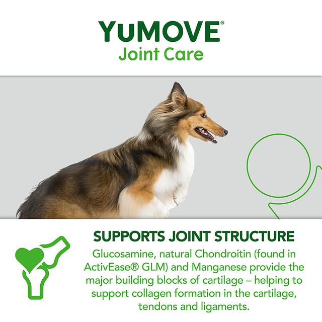 YuMOVE Dog Triple Action Joint Supplement thumbnail 5