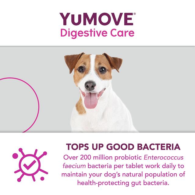 YuMOVE Dog Digestive Health Probiotics Supplement thumbnail 6
