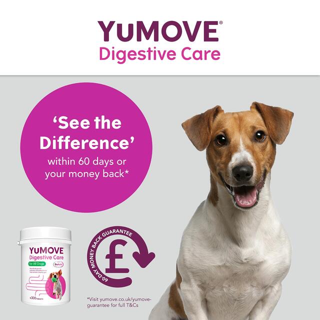 YuMOVE Dog Digestive Health Probiotics Supplement thumbnail 8
