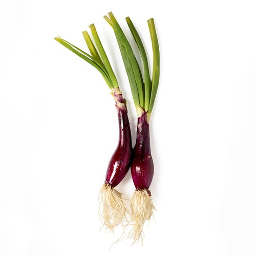 Natoora Fresh Tropea Onions