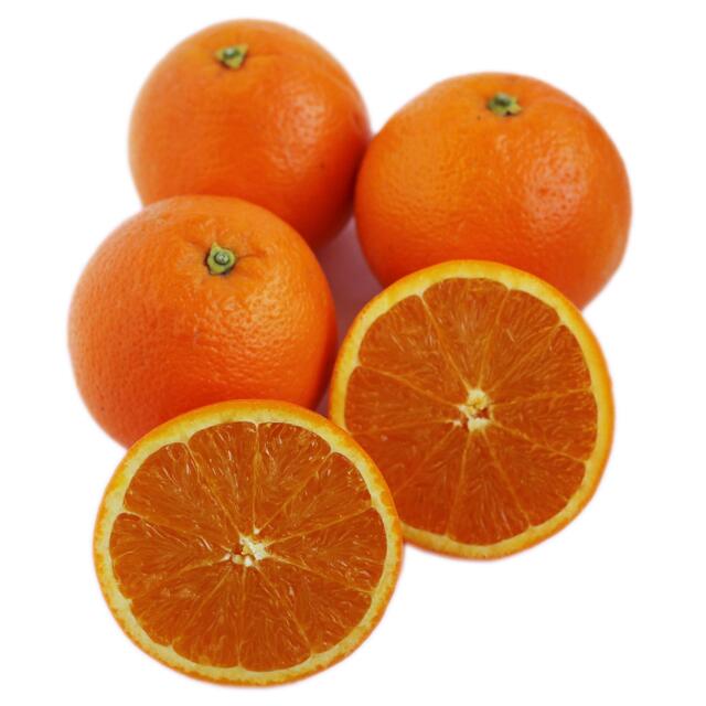 Wholegood Organic Oranges
