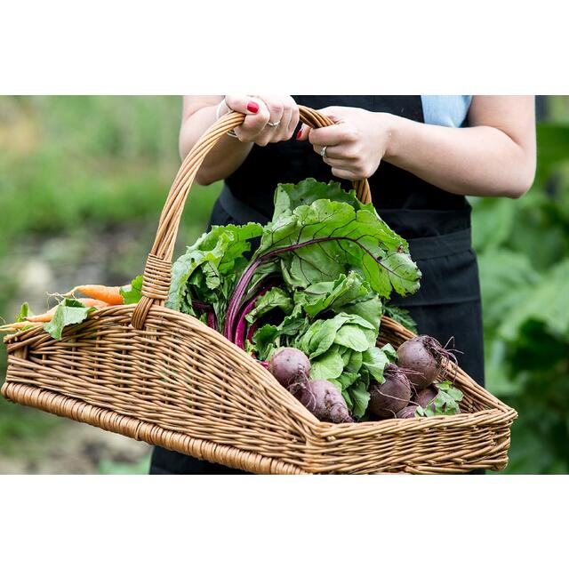James White Beet It Organic Beetroot Juice with Ginger thumbnail 4
