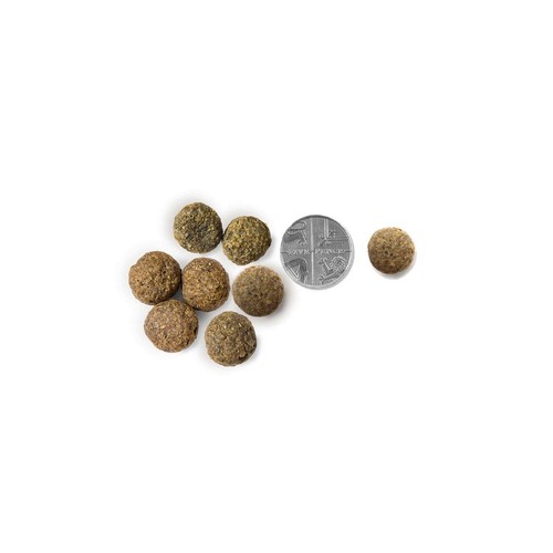 Vet's Kitchen Protect & Care Senior Dry Dog Food Salmon & Brown Rice thumbnail 3