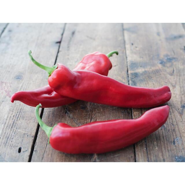 Natoora Romano Peppers thumbnail 2