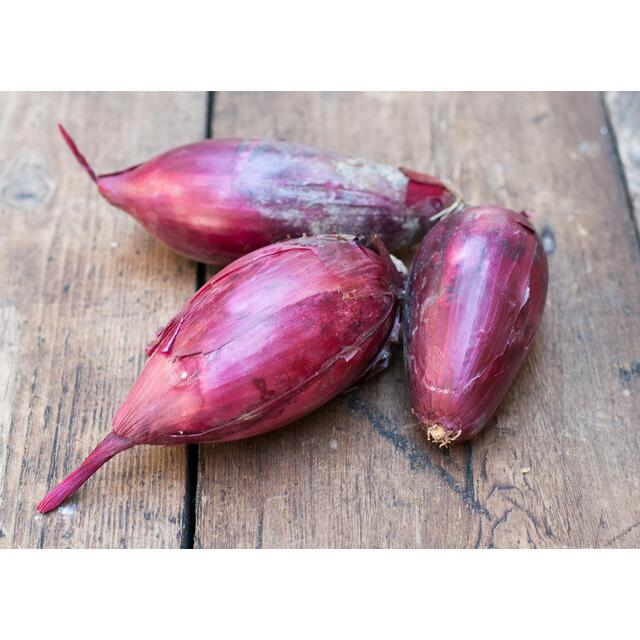 Natoora Italian Red Tropea Onions thumbnail 2