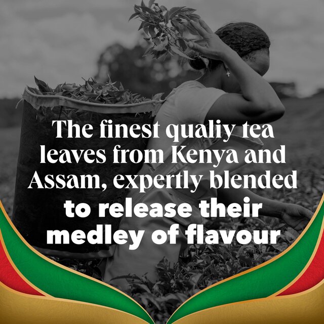 PG Tips Gold Special Blends Tea x70 Speciality Black Tea Bags thumbnail 4