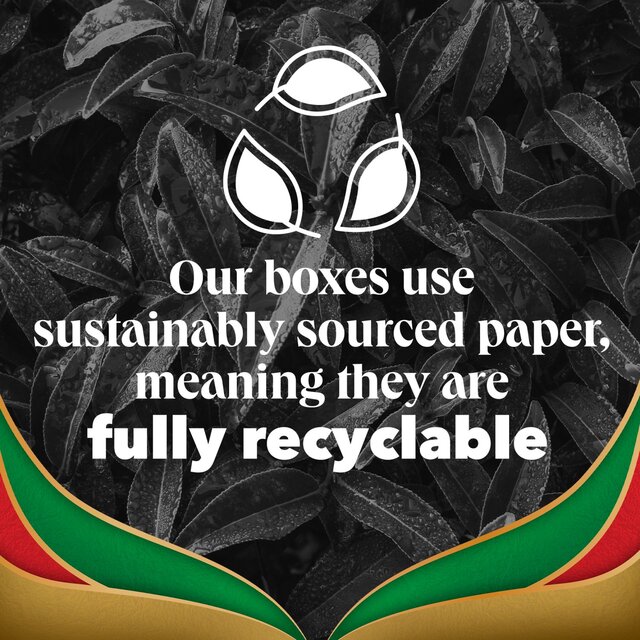 PG Tips Gold Special Blends Tea x70 Speciality Black Tea Bags thumbnail 6