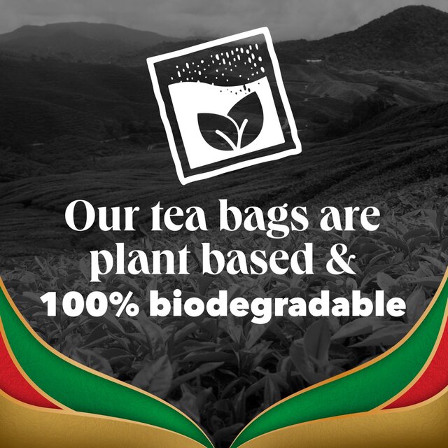PG Tips Gold Special Blends Tea x70 Speciality Black Tea Bags thumbnail 7