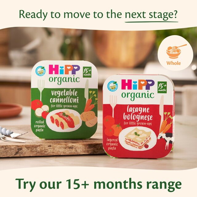 HiPP Organic Shell Pasta with Tomato & Courgette Toddler Tray Meal 12+ Mths thumbnail 5