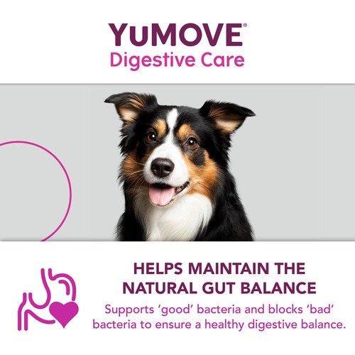 YuMOVE PLUS Dog Digestive Health Supplement thumbnail 4
