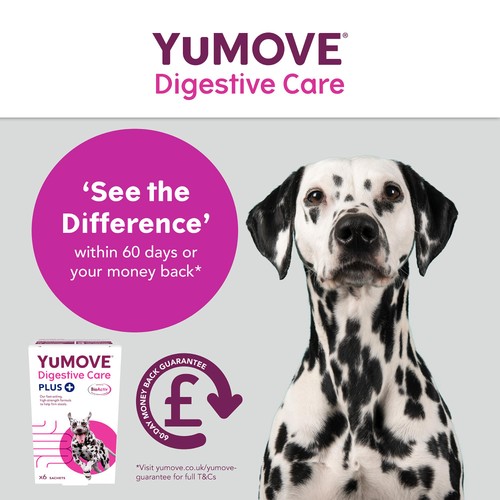 YuMOVE PLUS Dog Digestive Health Supplement thumbnail 9