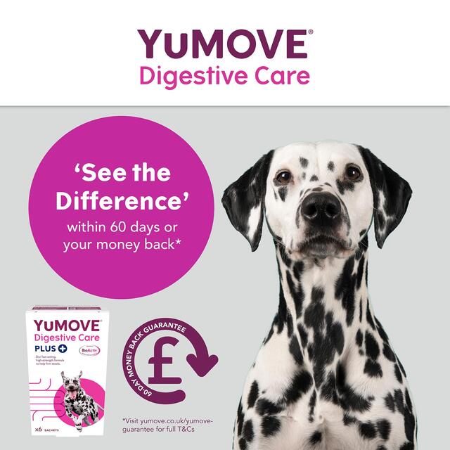 YuMOVE PLUS Dog Digestive Health  Supplement thumbnail 9