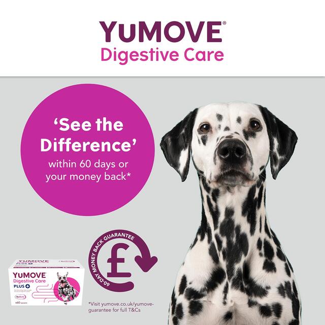 YuMOVE PLUS Dog Digestive Health Supplement thumbnail 9