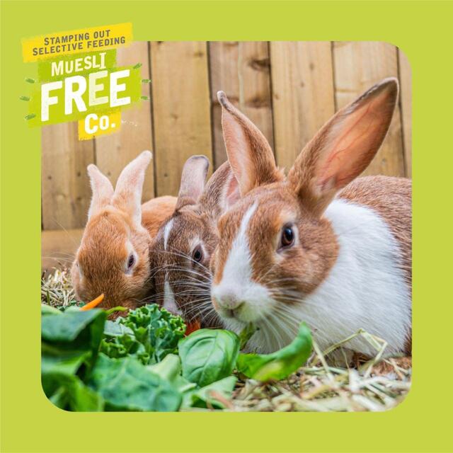 Burgess Excel Rabbit Adult Food with Mint thumbnail 6