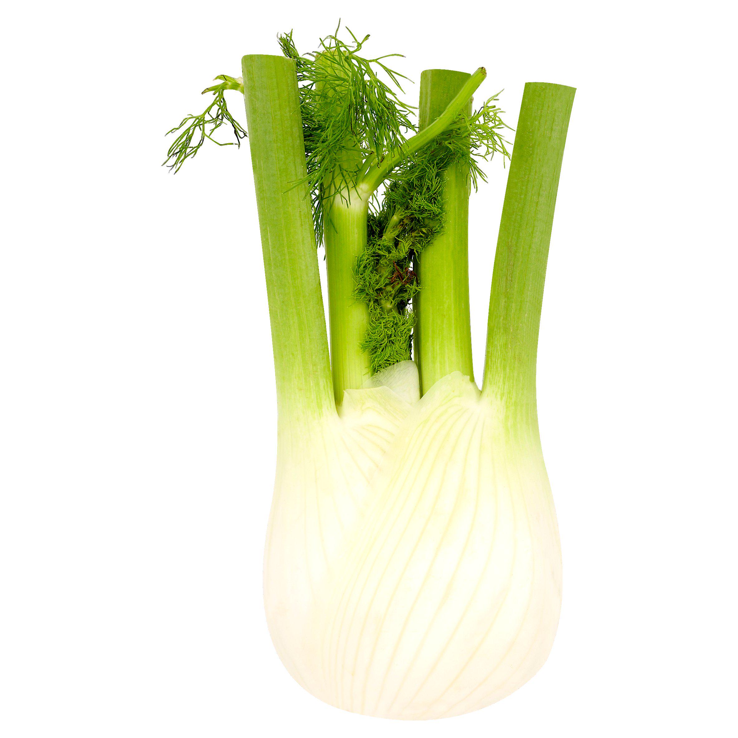 ASDA Fennel