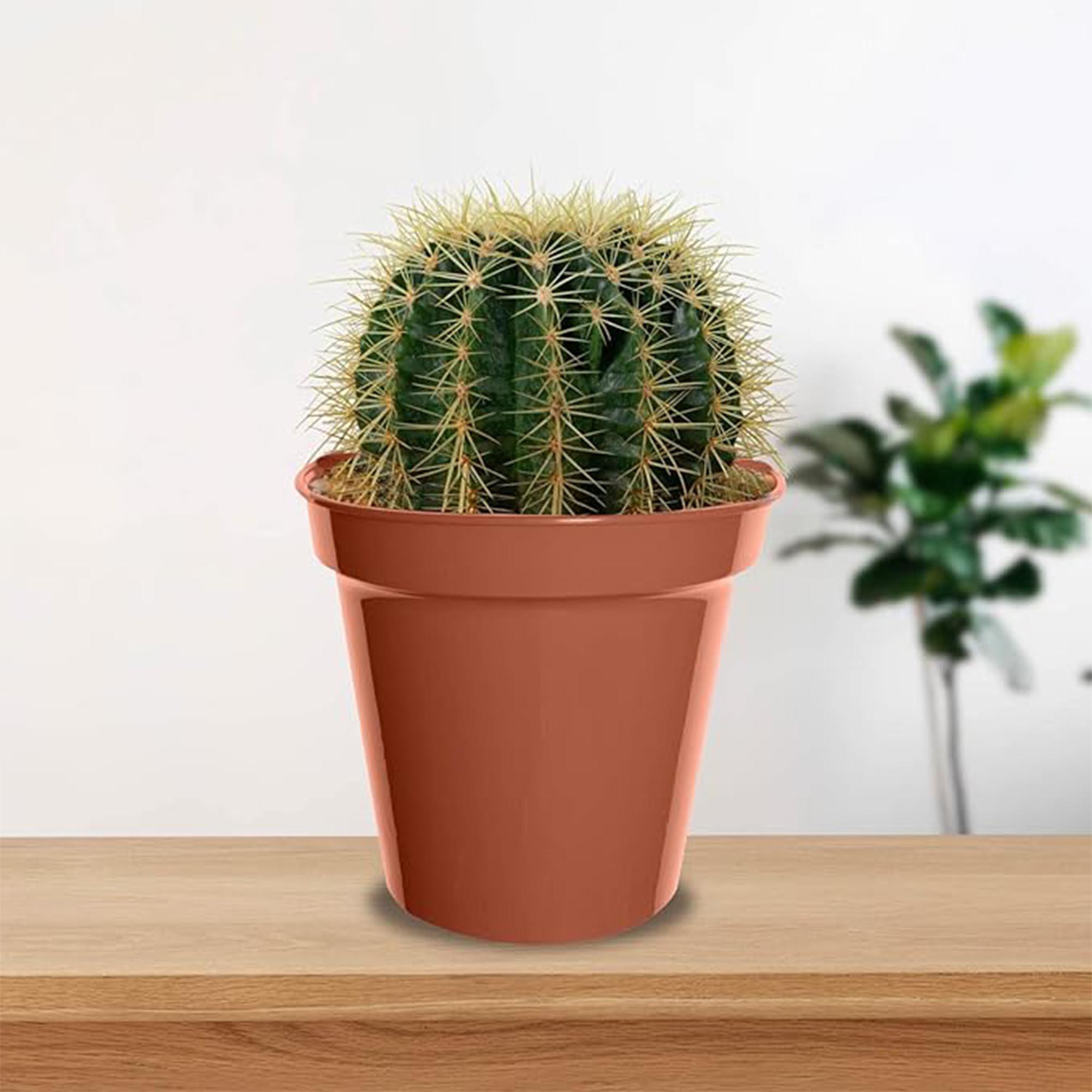 Whitefurze Pack of 10 Plastic Pot - 7.5cm thumbnail 2