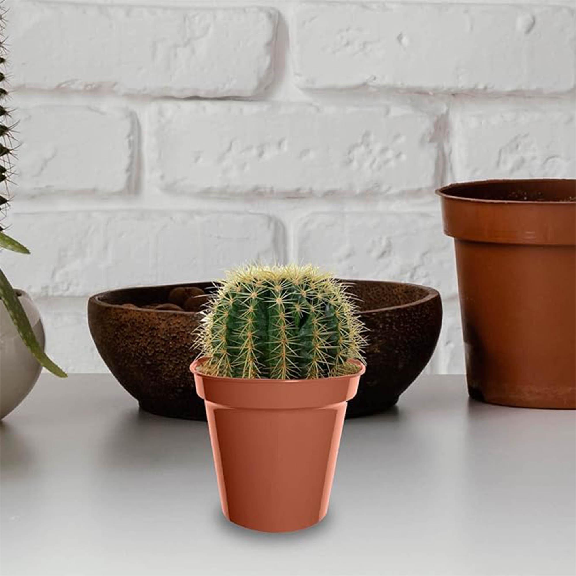 Whitefurze Pack of 10 Plastic Pot - 7.5cm thumbnail 3