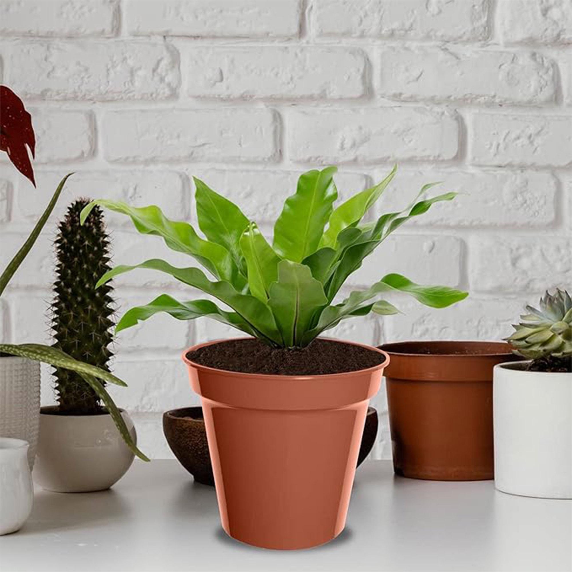 Whitefurze Pack of 3 15cm Plastic Pot thumbnail 2