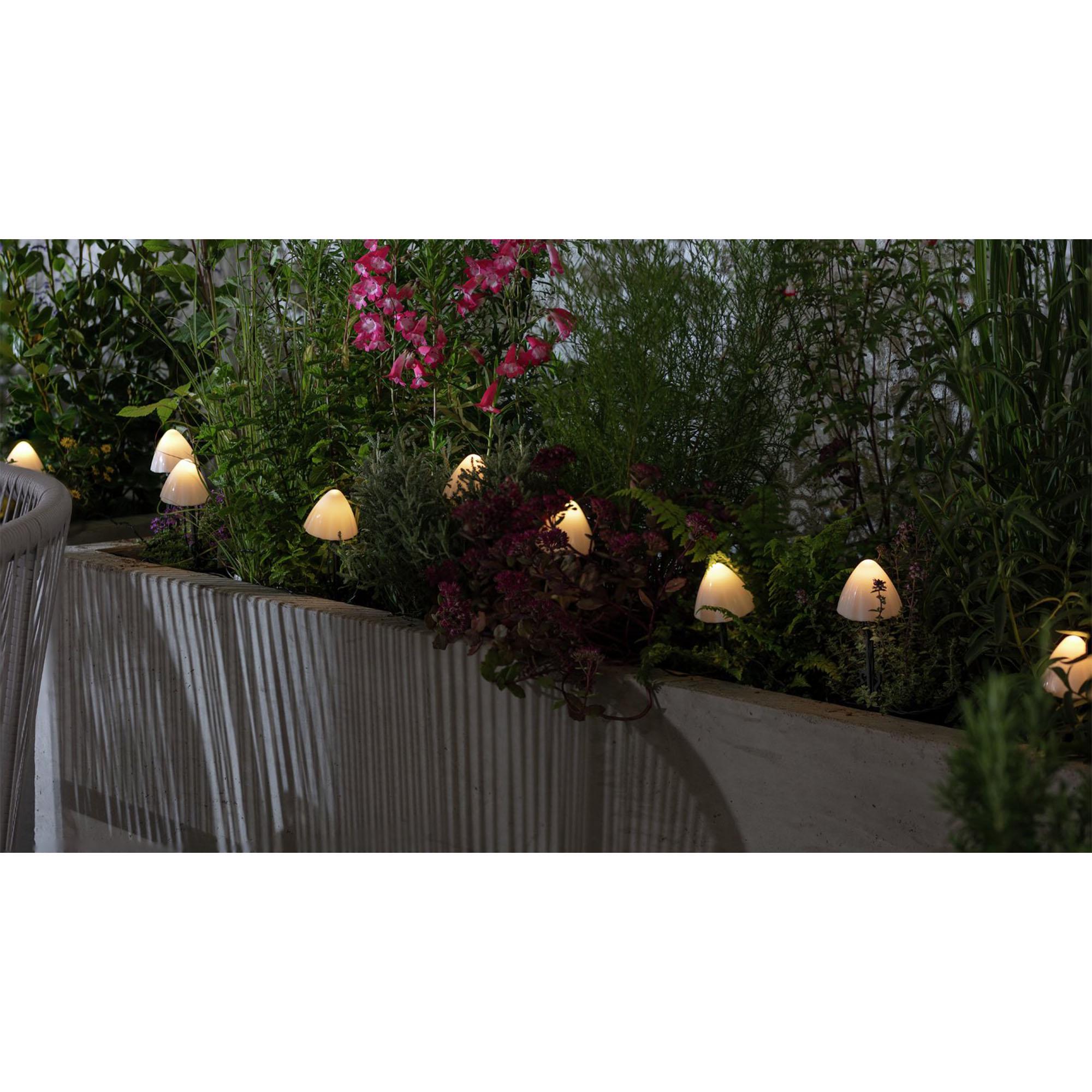 Sainsbury's Home Mini Mushroom Solar Stake Lights