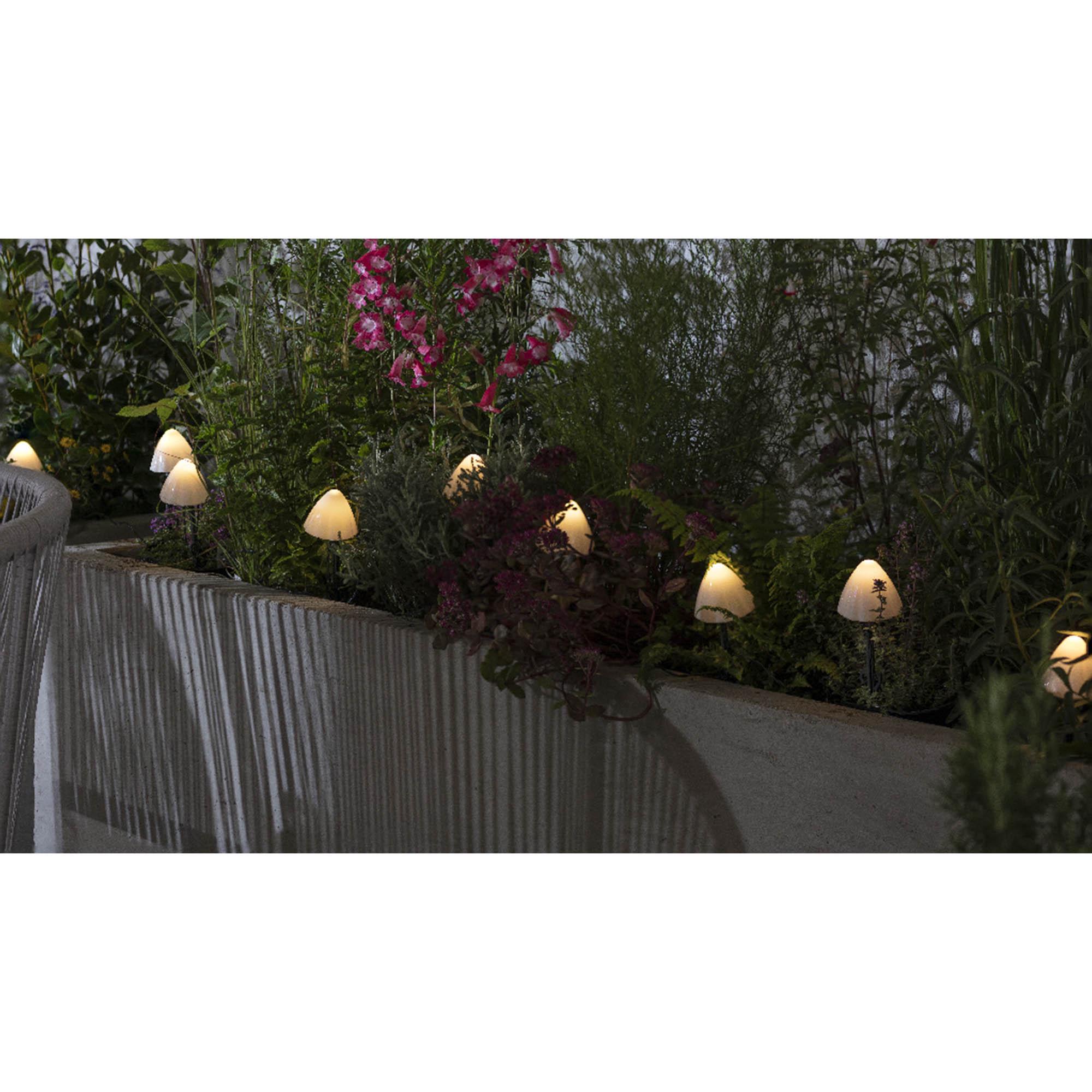 Sainsbury's Home Mini Mushroom Solar Stake Lights thumbnail 4
