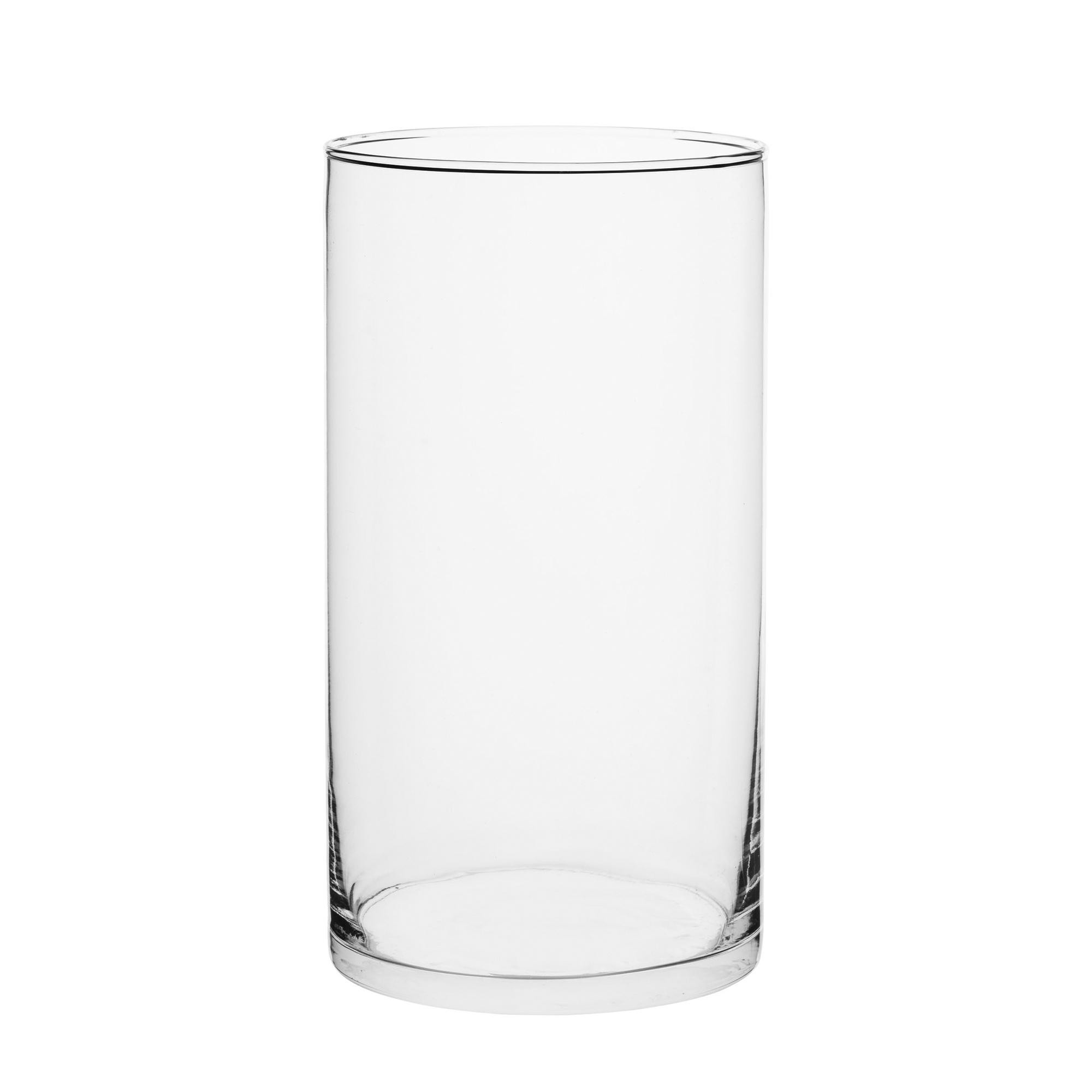 Habitat Tall Glass Vase - Clear