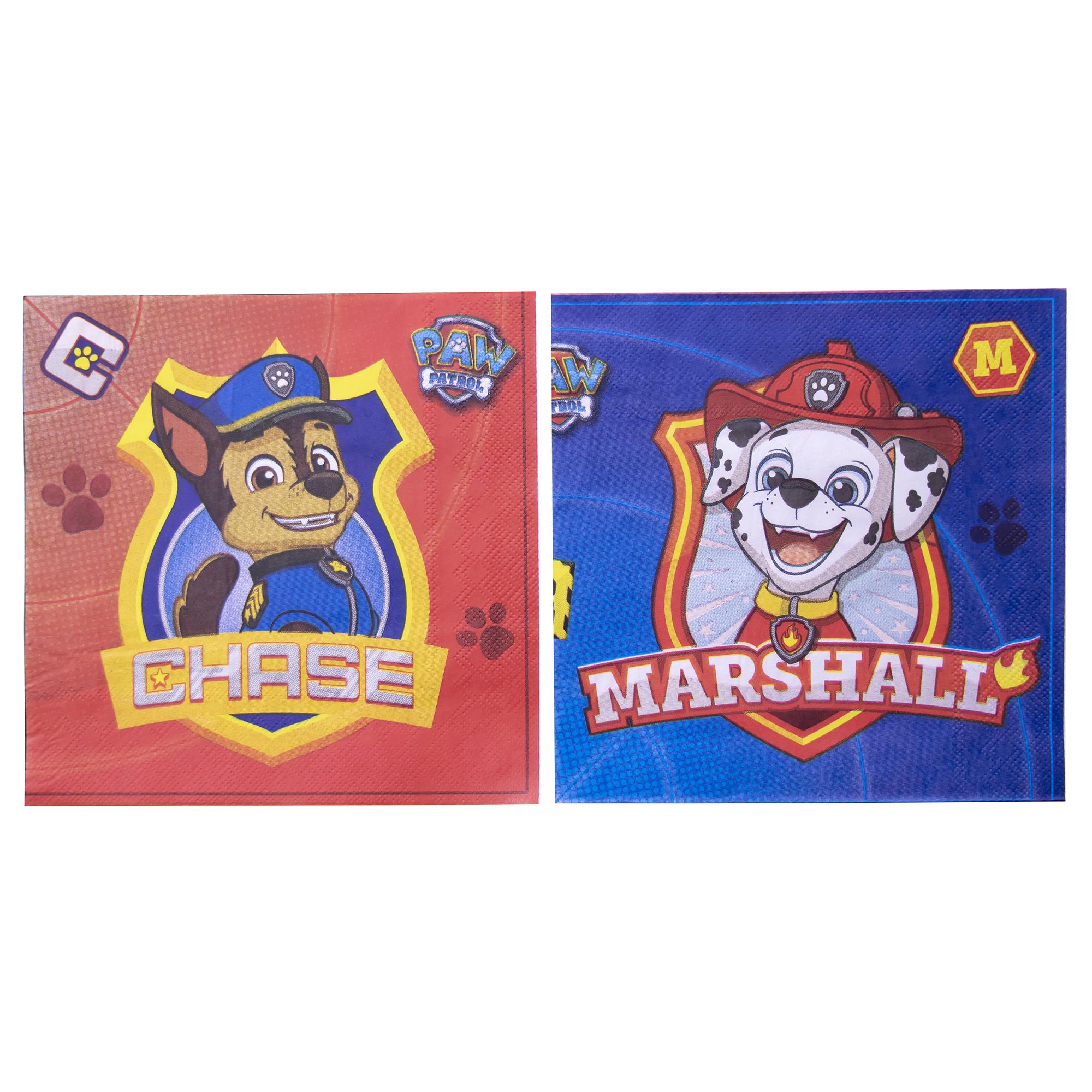 Amscan Paw Patrol Box thumbnail 4