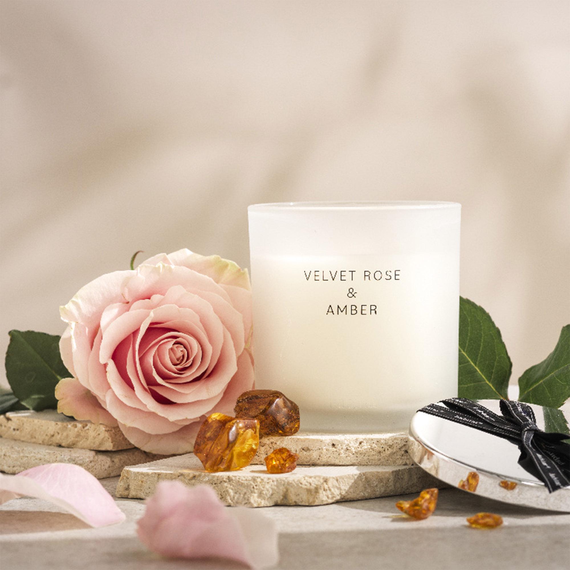 Habitat Large Candle with Lid - Velvet Rose & Amber thumbnail 2