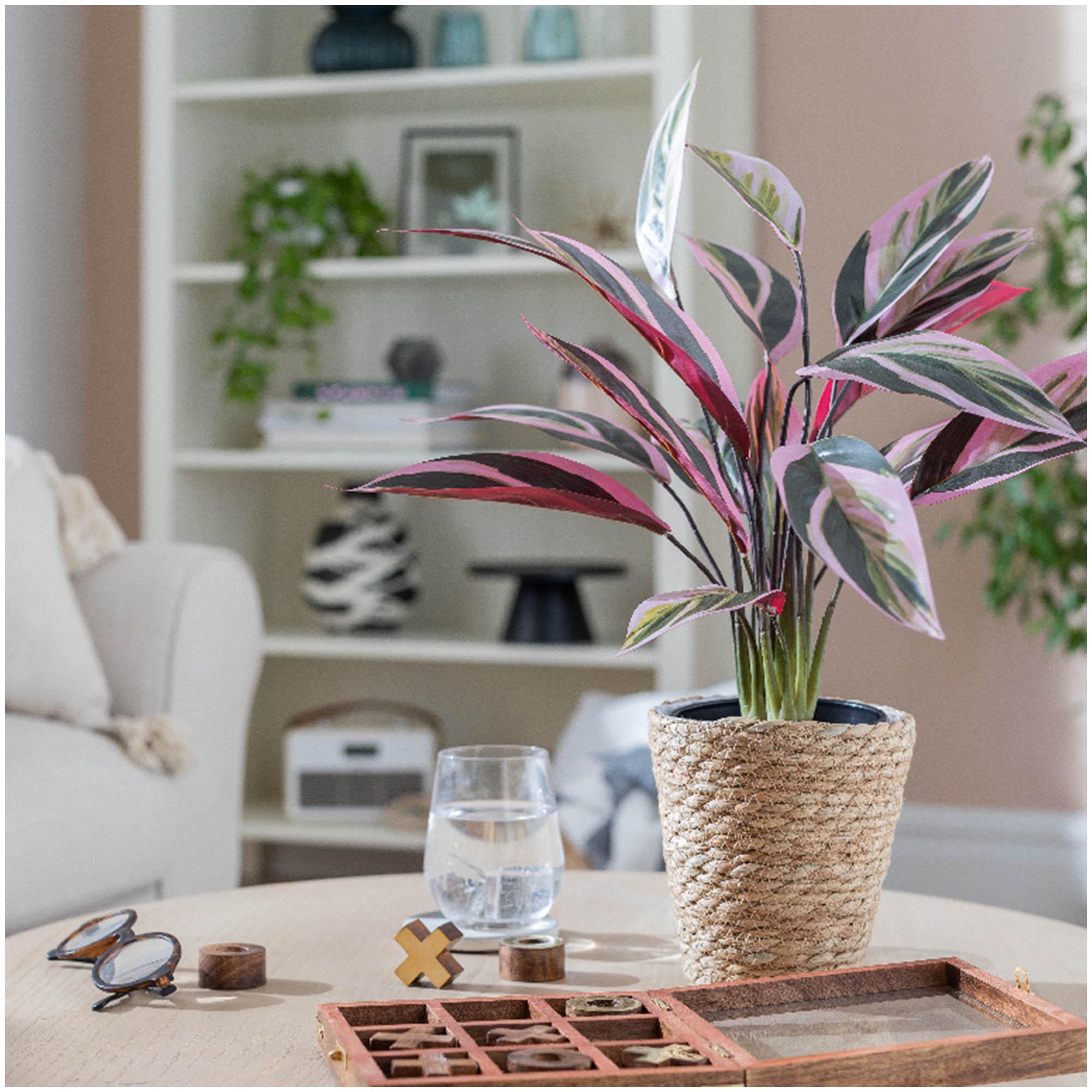 Habitat Artificial Large Stromanthe Tricolor Plant thumbnail 2