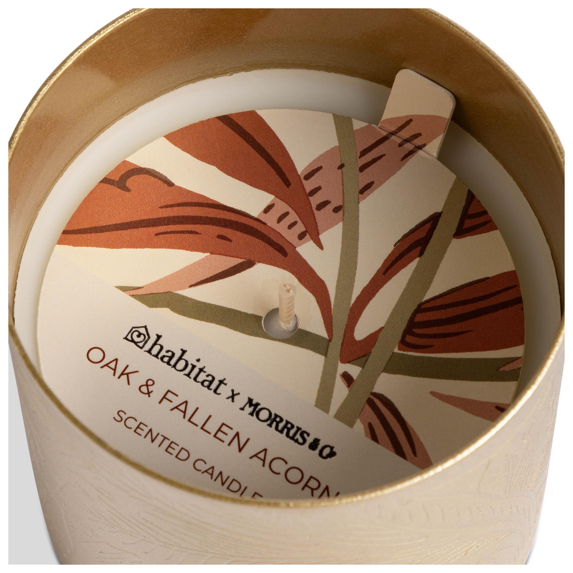 Habitat x Morris & Co. Brass Single Candle - Oak & Fallen Acorn thumbnail 2