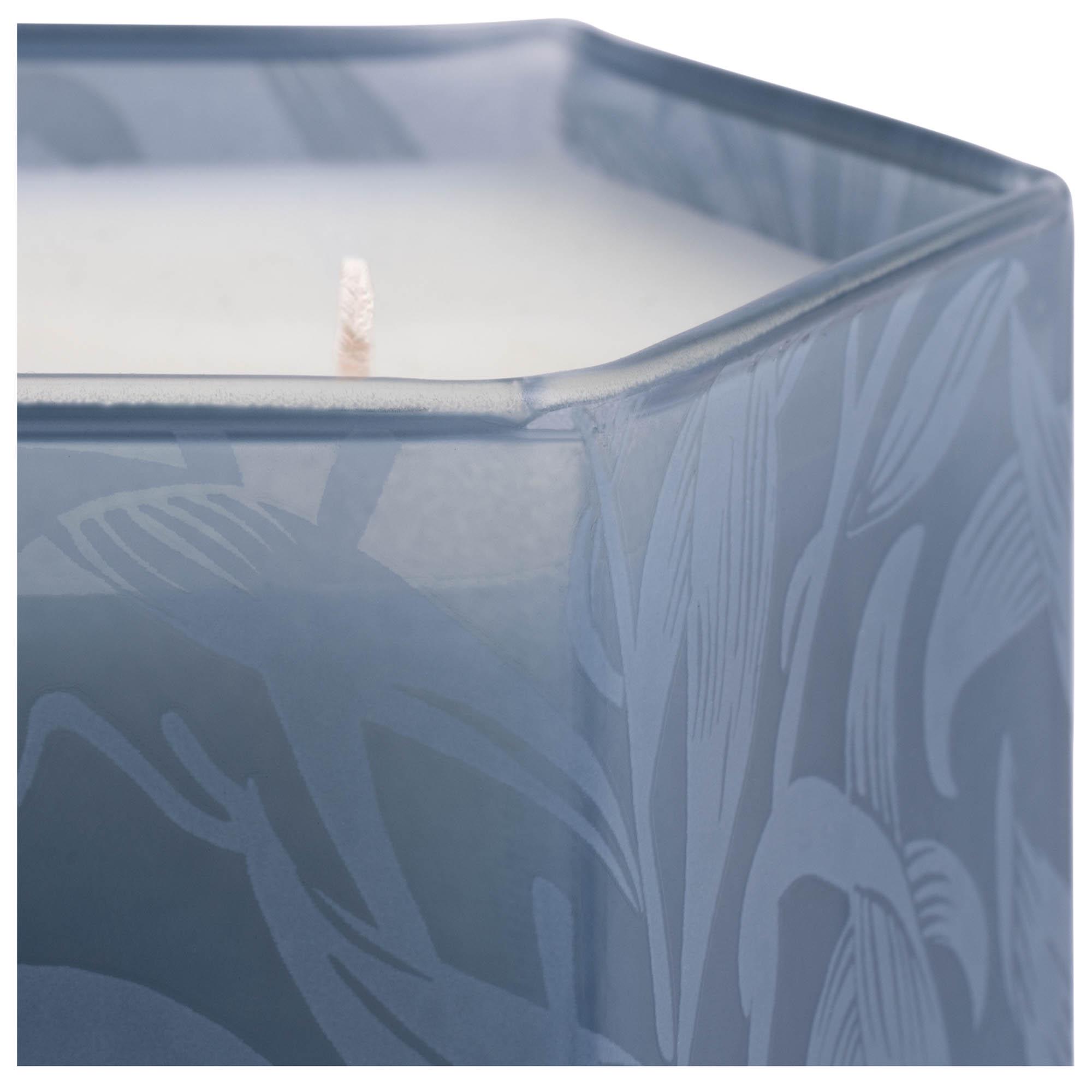 Habitat x Morris & Co. Bluebell & Acanthus Multiwick Candle thumbnail 3