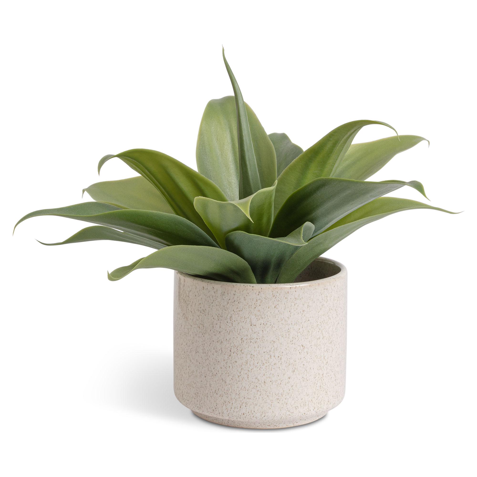Habitat Artificial Aloe in Reactive Glazed Pot