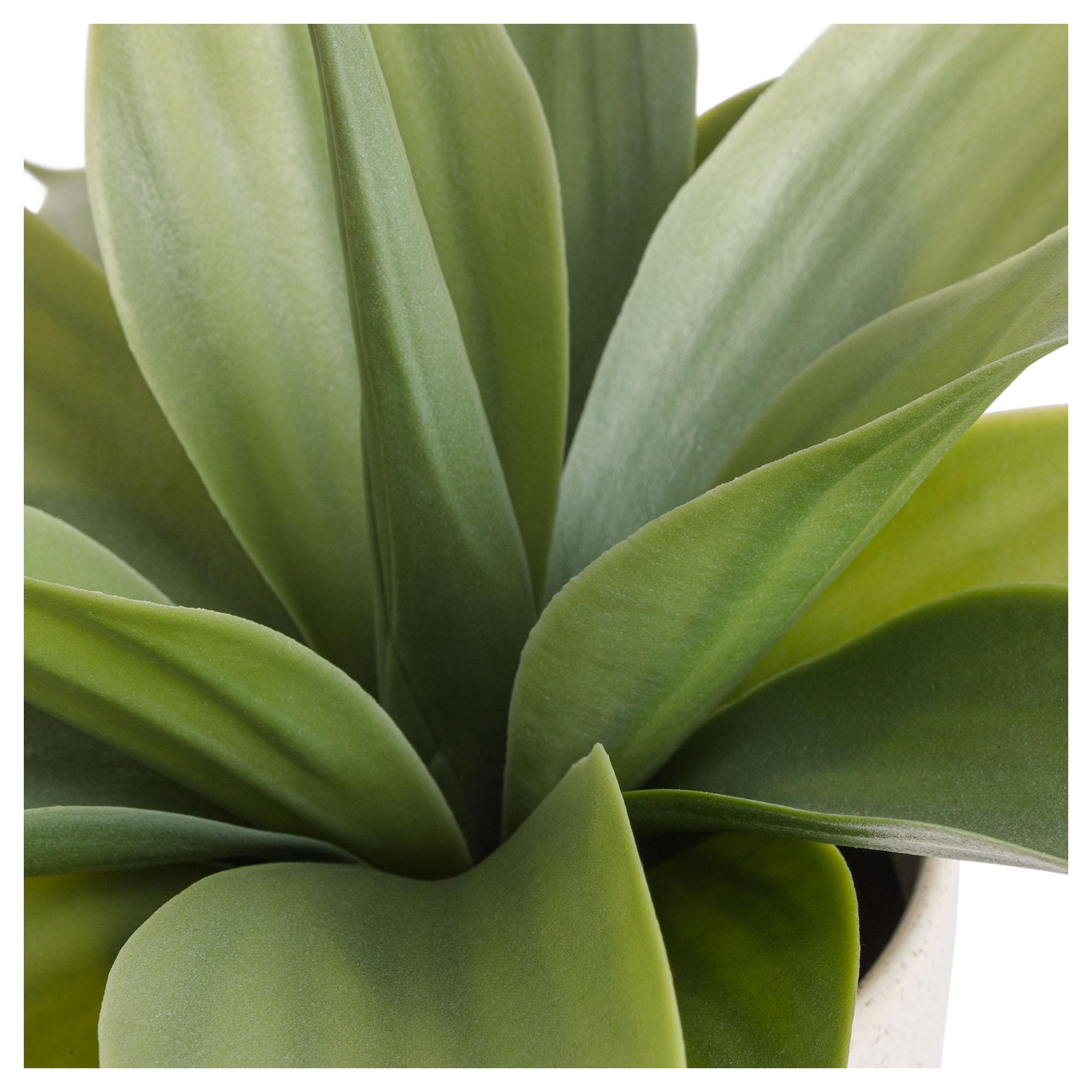 Habitat Artificial Aloe in Reactive Glazed Pot thumbnail 3