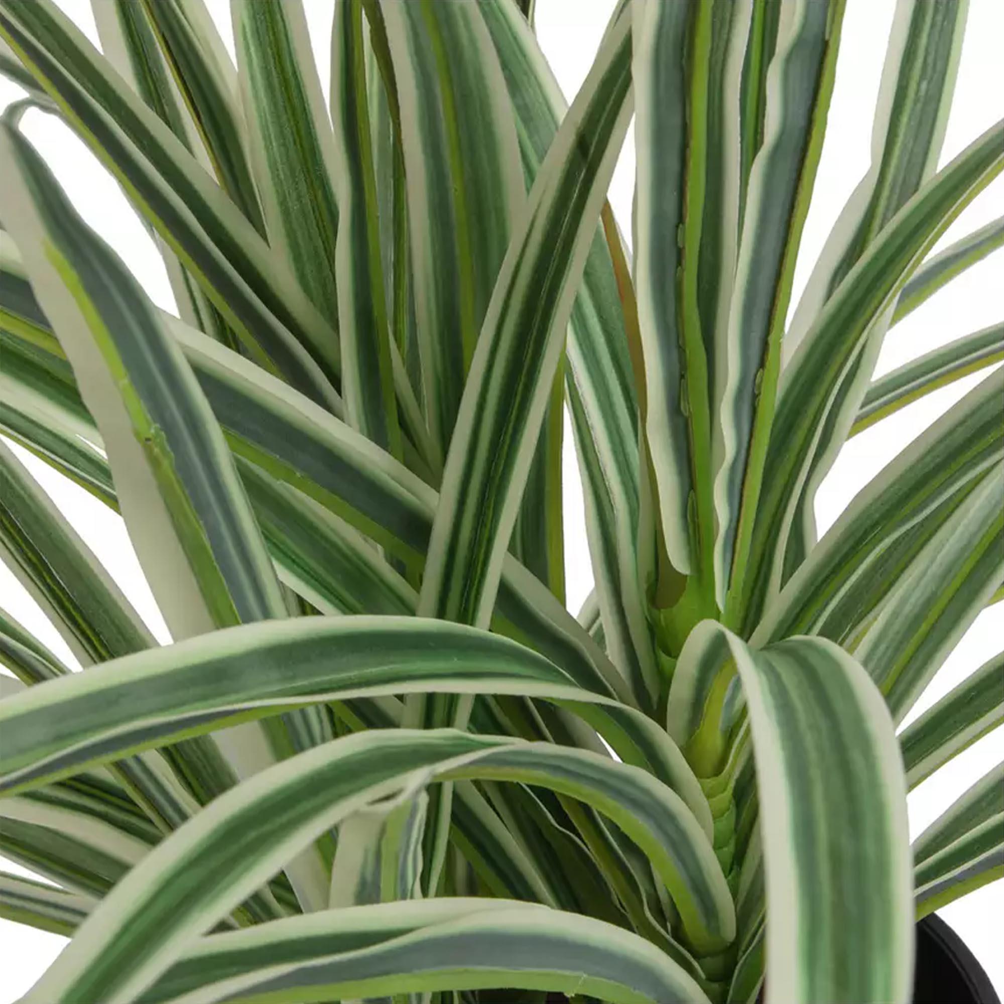 Sainsbury's Home Large Faux Spider Plant - Green thumbnail 3