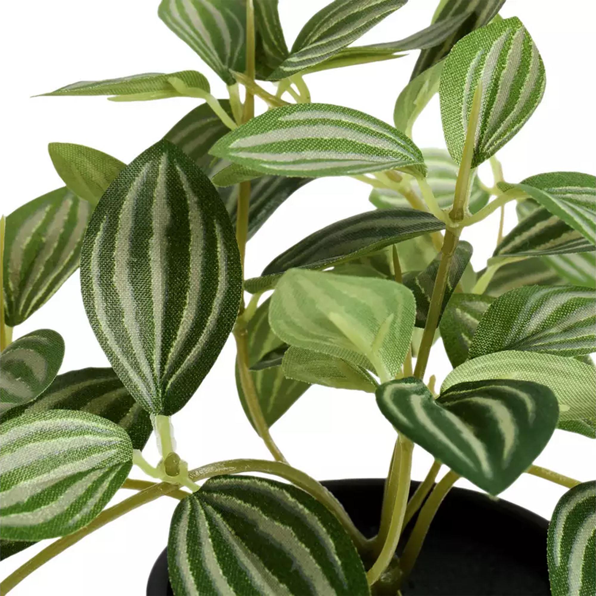 Habitat Artificial Green Small Trailing Plant - 17cm thumbnail 2