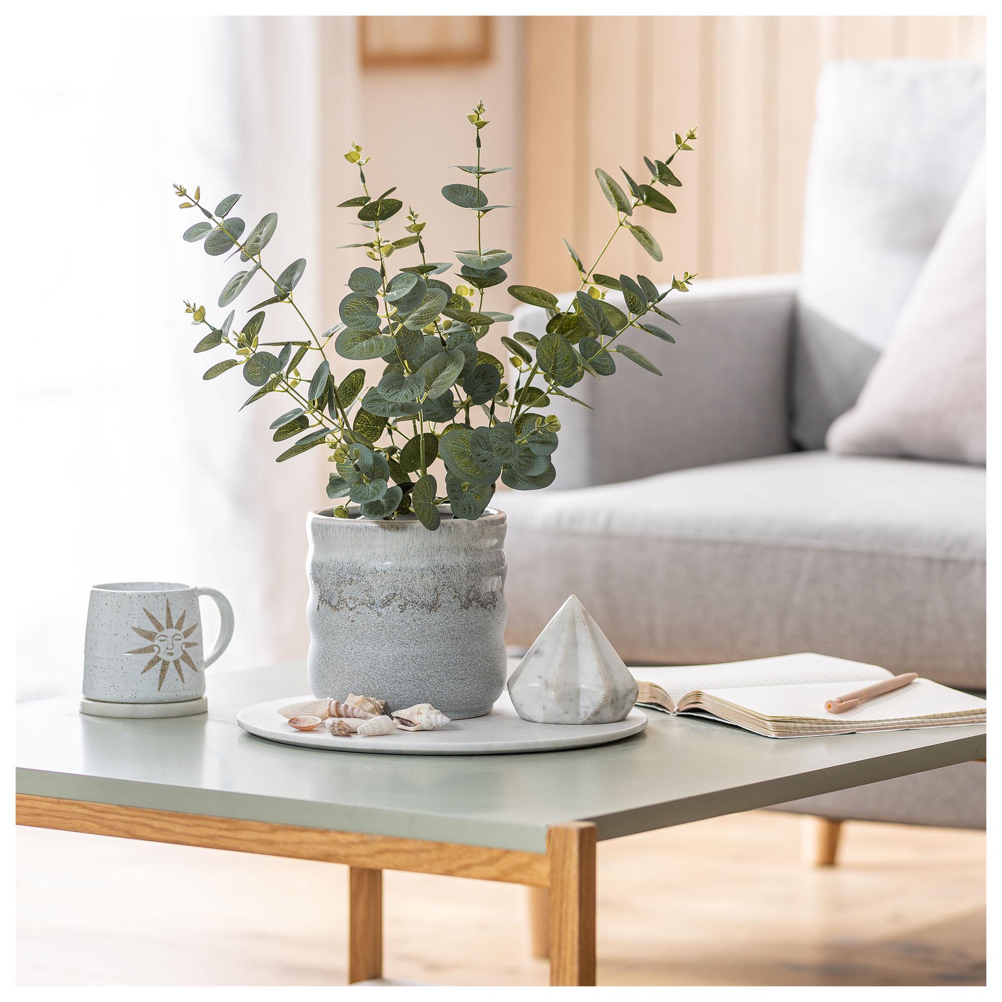 Habitat Artificial Large Eucalyptus Plant in Matte Black Pot thumbnail 2