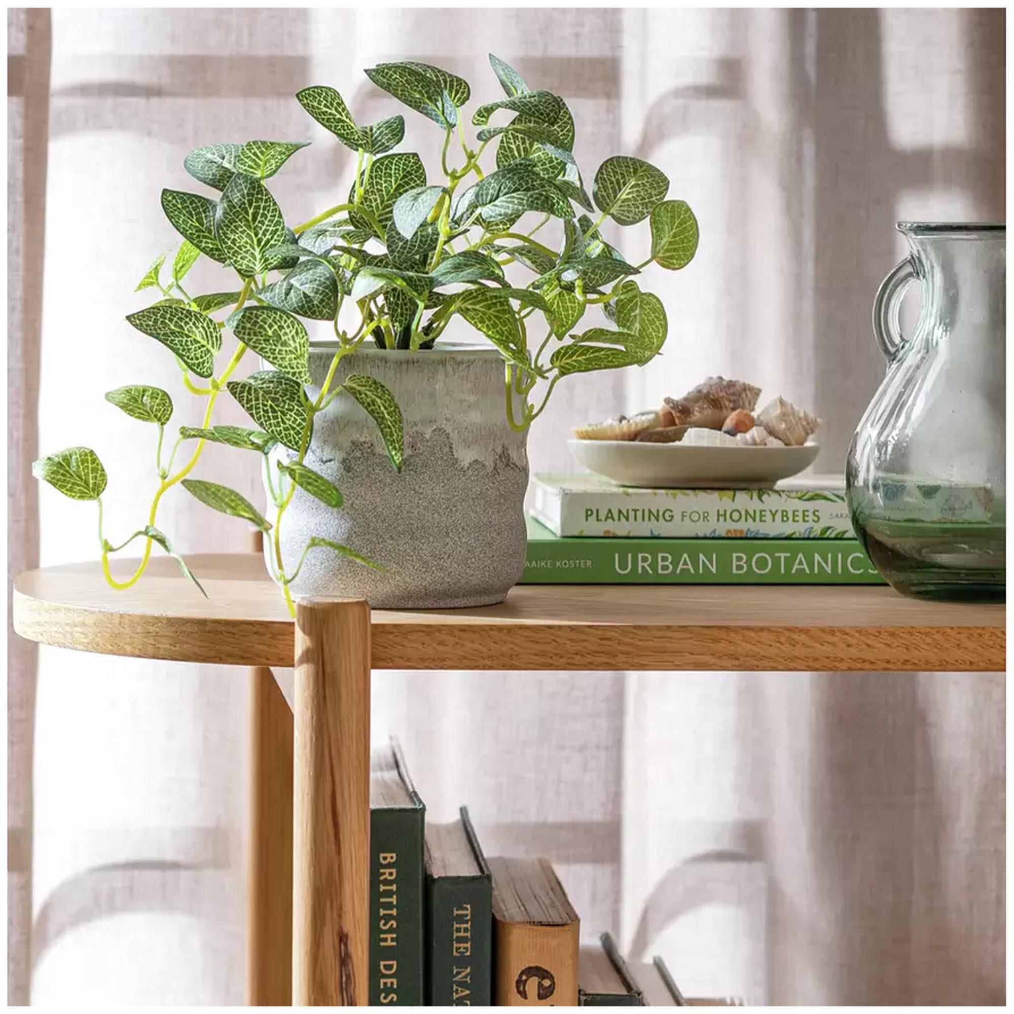 Habitat Medium Artificial Topiary Plant - Natural thumbnail 2