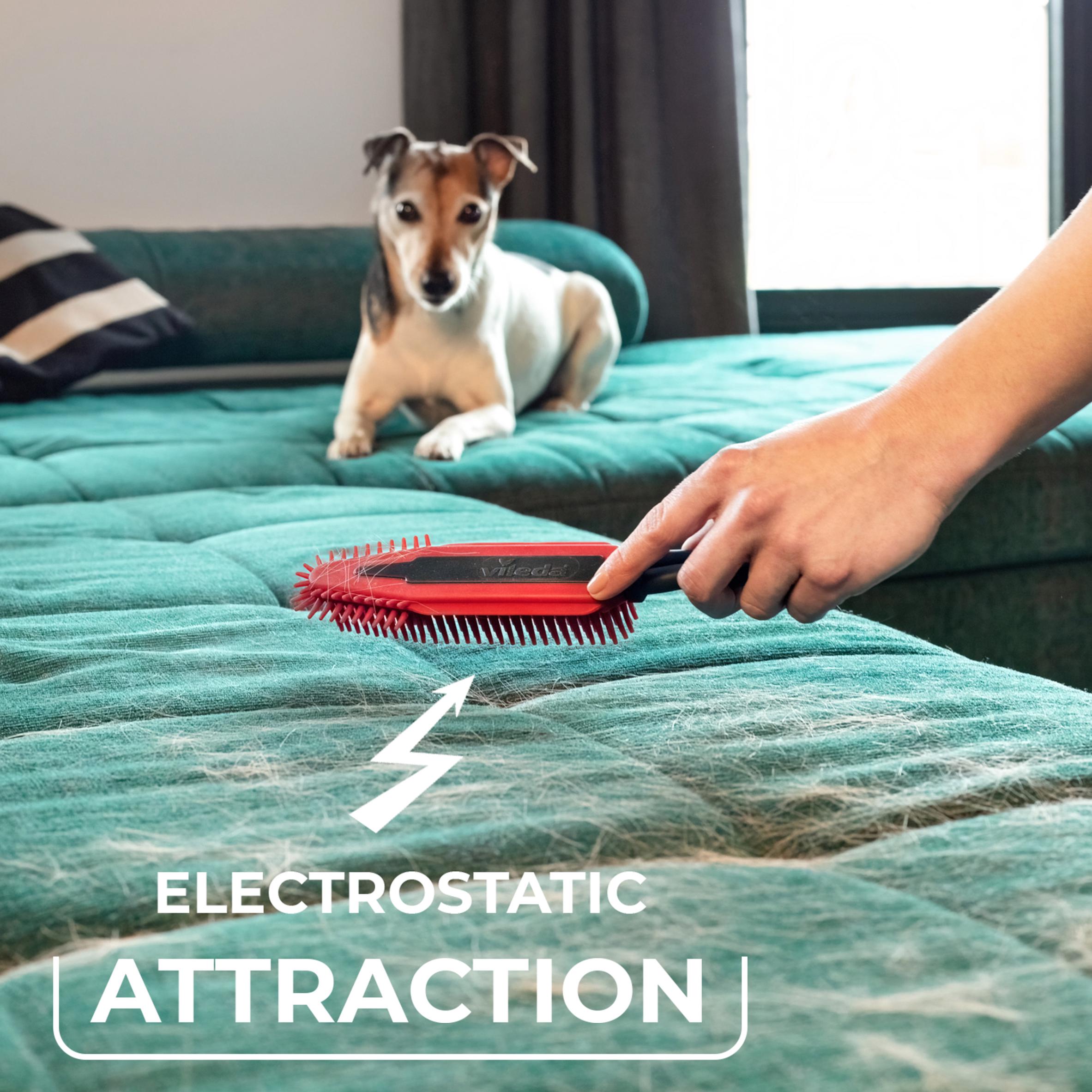 Vileda Pet Brush thumbnail 5