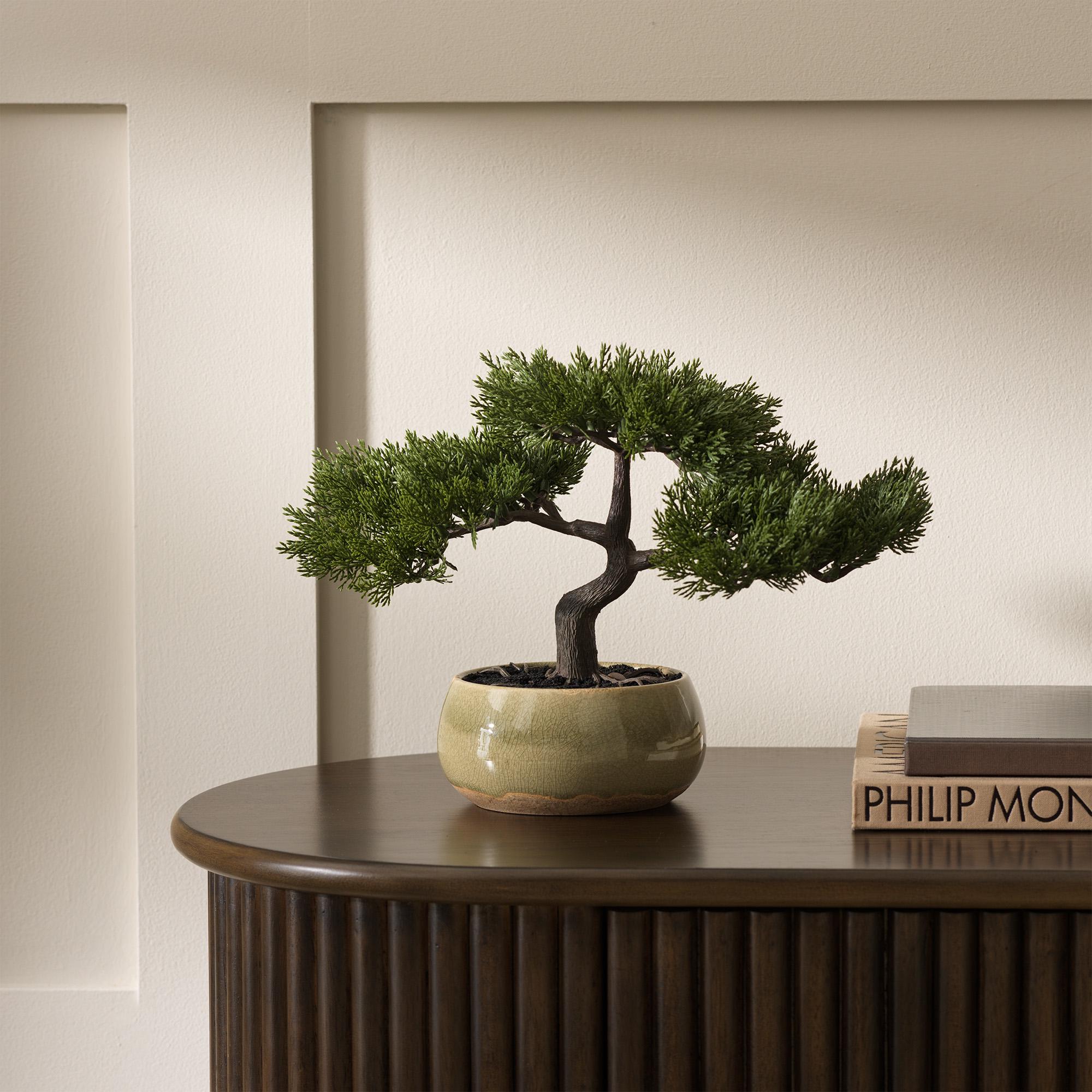 Sainsbury's Home Bonsai Tree in Ceramic Glaze Pot thumbnail 2