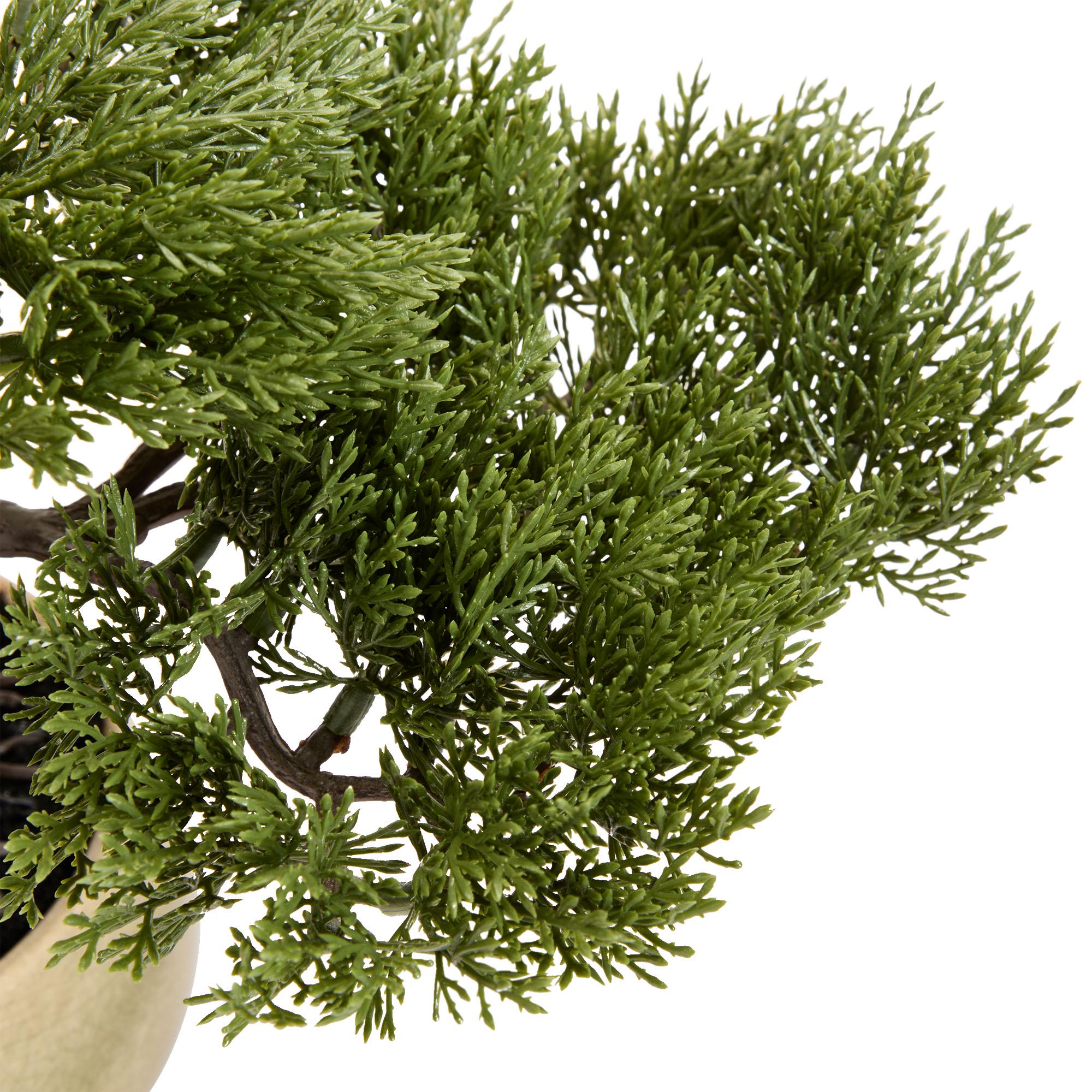 Sainsbury's Home Bonsai Tree in Ceramic Glaze Pot thumbnail 3