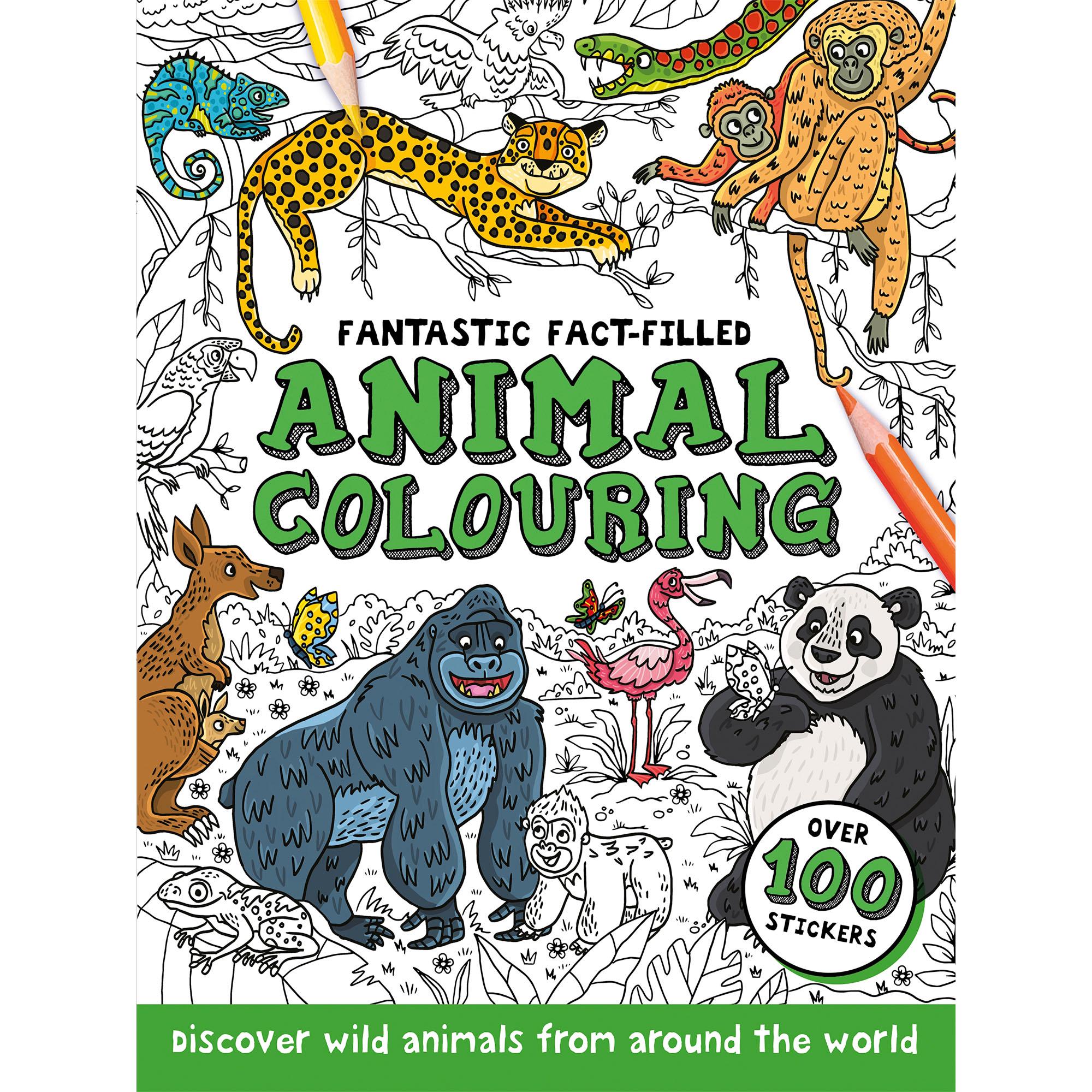 Fact Filled Animal/Dino Colouring