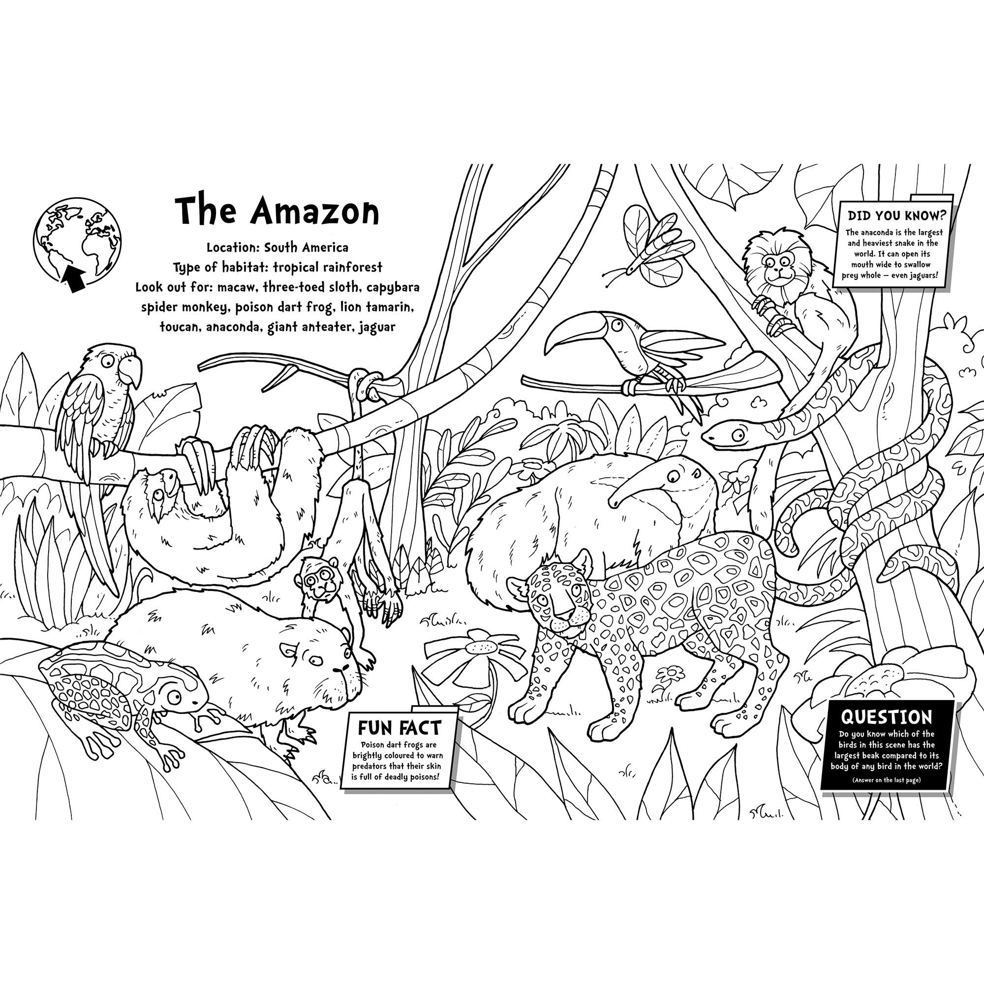 Fact Filled Animal/Dino Colouring thumbnail 2